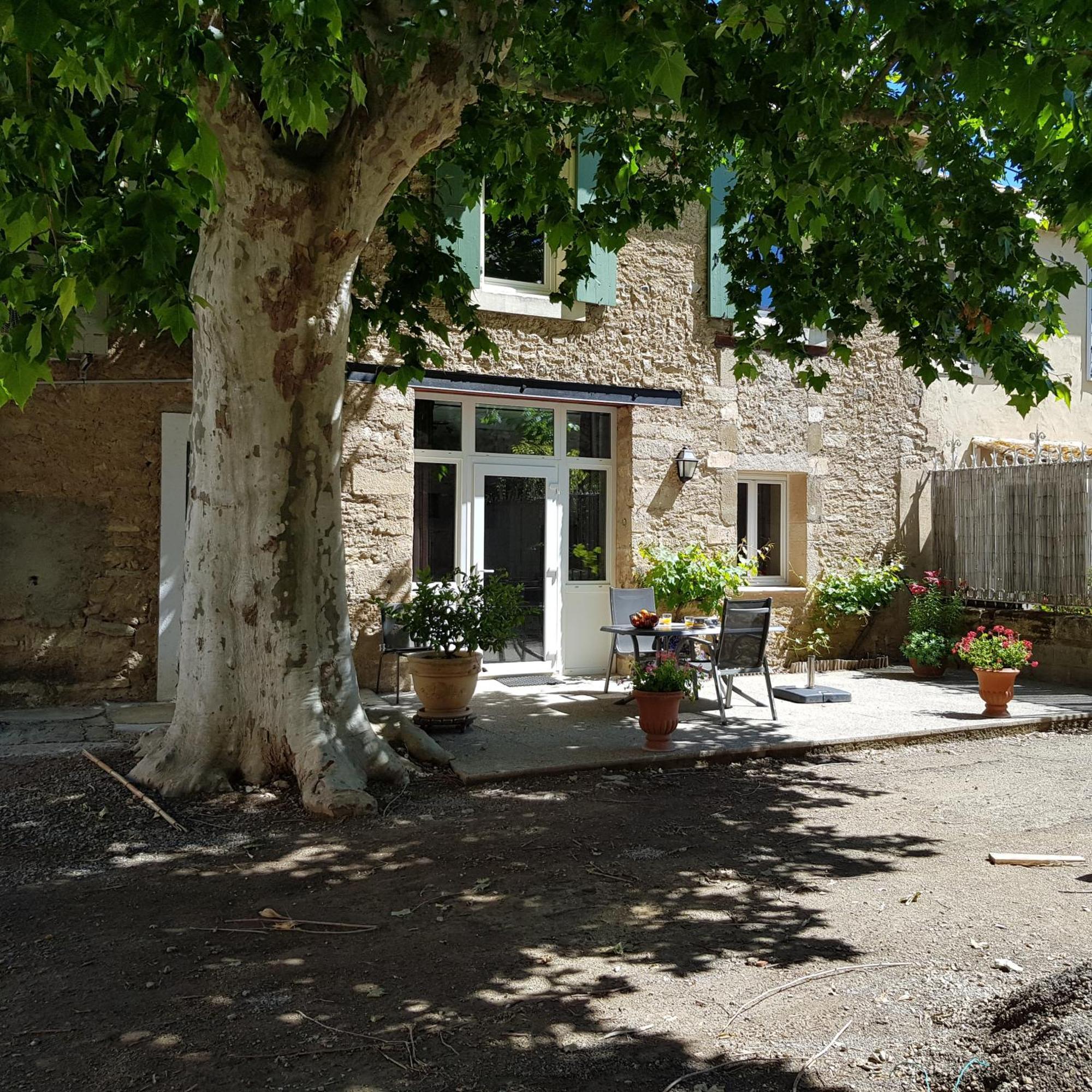 Domaine De L'Aube Des Temps Villa Raissac-d'Aude Rum bild